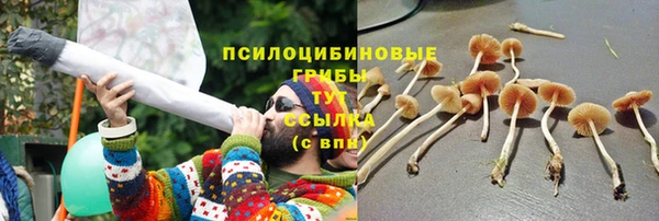 круглые Алексеевка