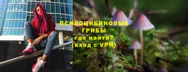 прущие грибы Алексин