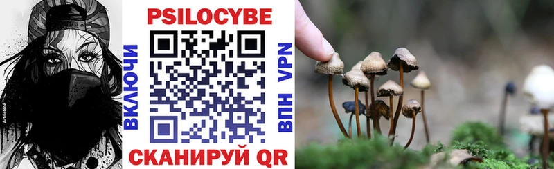 Галлюциногенные грибы Psilocybine cubensis  Мамоново 